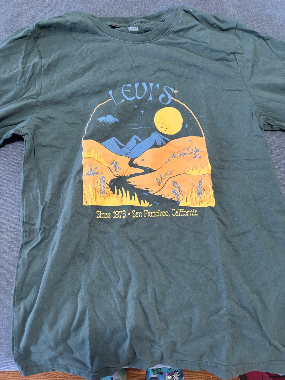 Levi's Olive Green Tee with Yellow and Blue Scenic Graphic